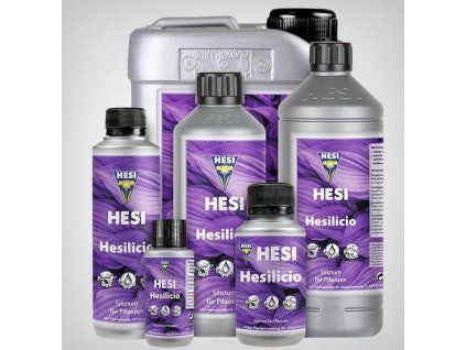 helsico
