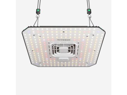 led