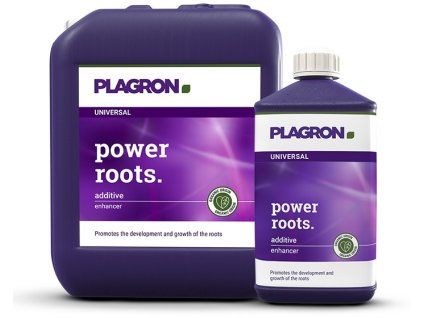 power roots