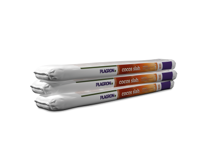 A30036