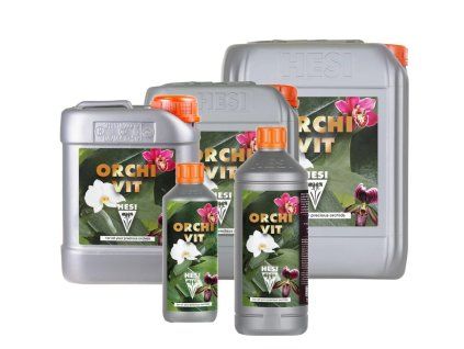 orchi