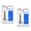 bloom balnded