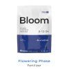 bloom