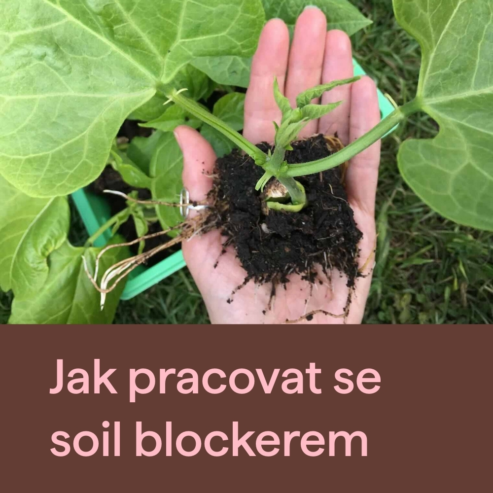 Soil Blocker: Revoluční pomůcka pro vaši zahradu