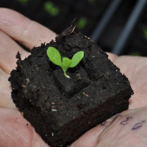 Soil Blocker: Revoluční pomůcka pro vaši zahradu
