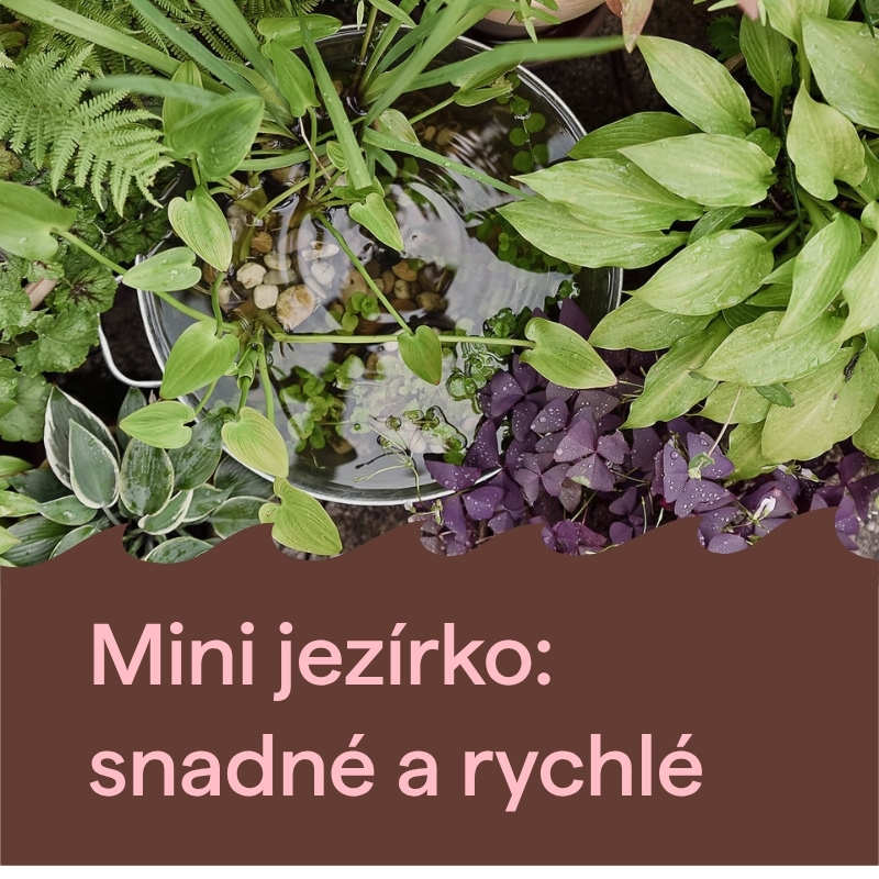 Návod: Jak si vyrobit mini jezírko