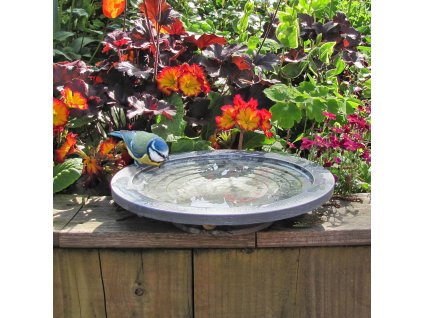 OASIS2 WEBBED IMAGES 1500x1500px WEBBED IMAGE 1