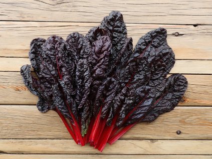 g663 mangold roscho katalog shop