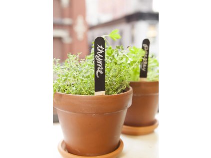 GA06 GARDEN MARKERS ACTION 4323 scaled