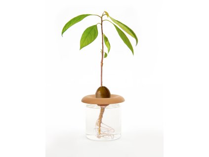 CD535 SeedSprouter Action scaled