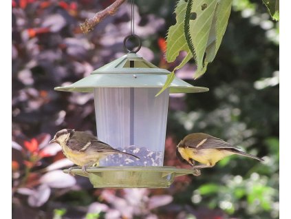 20170623 EcoBeacon great tits1