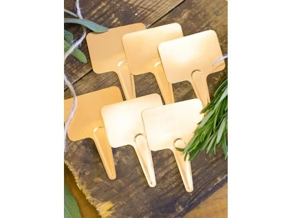 měˇď.jmenovky 2