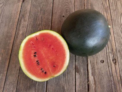 G277 1737708574 scaled