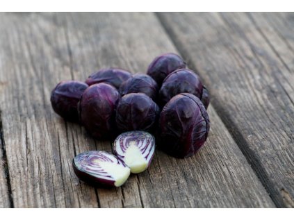 g827 roter rosenkohl cm 04 bearb shop