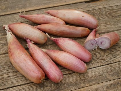 g757 cuisse de poulet 02 shop