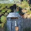 eng pl Growbag Root Pouch fabric pot 35x30cm 30L with handles grey 5189 5