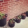 eng pl Growbag Root Pouch fabric pot 40x30cm 39L with a handle black 5181 13