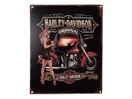 Plechová cedule HARLEY DAVIDSON Clayre & Eef 6Y5213