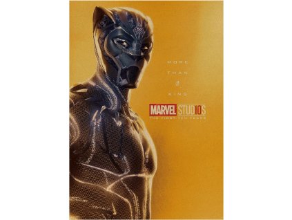 Plakát Marvel Avengers 4 Endgame, Black Panther č.144, 51.5 x 36 cm