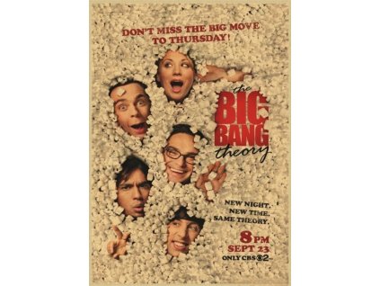 Plakát The Big Bang Theory, č.358, 42 x 30 cm