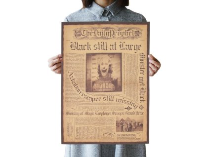 Plakát Harry Potter, Sirius Black č.370, 42 x 30cm