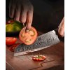 Santoku nůž 7.3" XINZUO ŠIGA 67 vrstev damaškové oceli