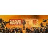 Plakát Marvel Avengers 4 Endgame č.235, 70 x 27 cm