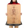 Plakát Anatomie člověka, kostra, č.298, 51 x 36 cm