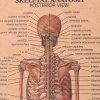 Plakát Anatomie člověka, kostra, č.299, 51 x 36 cm