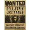 Plakát Harry Potter, Bellatrix Lestrange č.407, A3