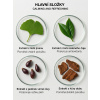 antioxidant ginko gel booster hlavni slozky