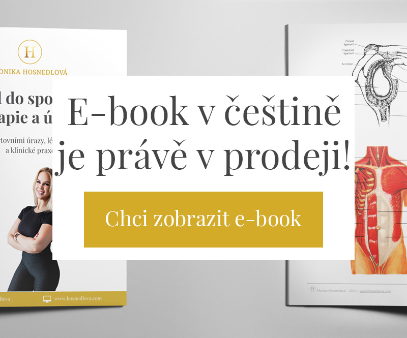 Úvod do sportovní terapie a úrazů (český jazyk)