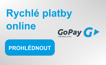 Rychlé online platby - GoPay