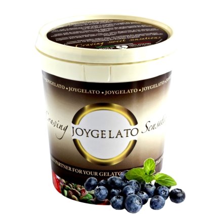 Joypaste Borůvka 1,2kg (ochucovací pasta)
