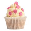 PME Cukrové zdobení Růžové kytičky muffin