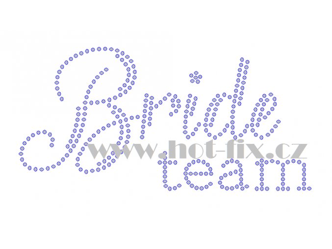 SVAT122 Bride team Tým nevěsty nažehlovací hot fix kamínková aplikace na tričko, textil na párty pro nevěstu, rozlučku se svobodou hot fix kameny