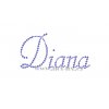 Diana jméno nažehlovací aplikace nažehlovací kamínkový potisk na textil hot fix kameny