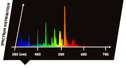 1000W MH