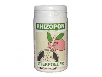 Rhizopon