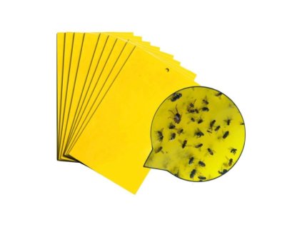 Lepové desky VDL, žluté 10x25cm - 10ks