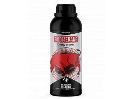 La Poción Del Brujo Boomerang