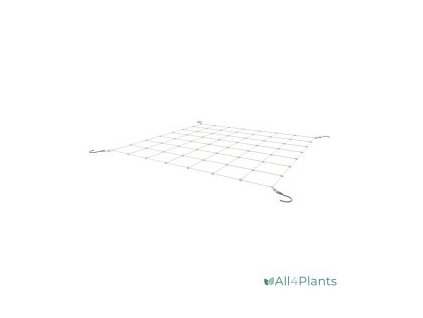 Web Plant Support 60x40, neelastická podpůrná síť