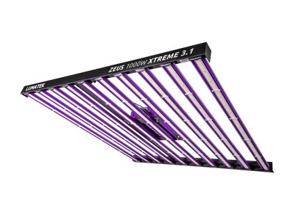 ZEUS1000WEXTREME31 01