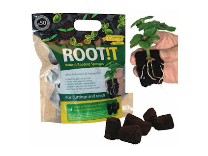 ROOT!T Natural Rooting Sponges 50 Refill Bag