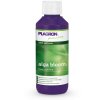 alga bloom 100ml