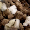 agra wool RFX 1