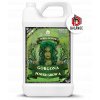 Mockup GorgonaA 1L PH