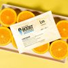 Integra Boost Terpene Essentials Limonen 67g, 62%, 1 ks