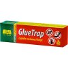 glue trap 500x500