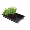 Garland Professional Seed Trays bez díry (37 X 23.5 X 5 CM) - balení 5ks